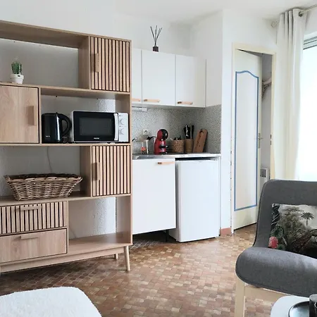 Grazel 4 Couchages Et Parking Prive Apartment